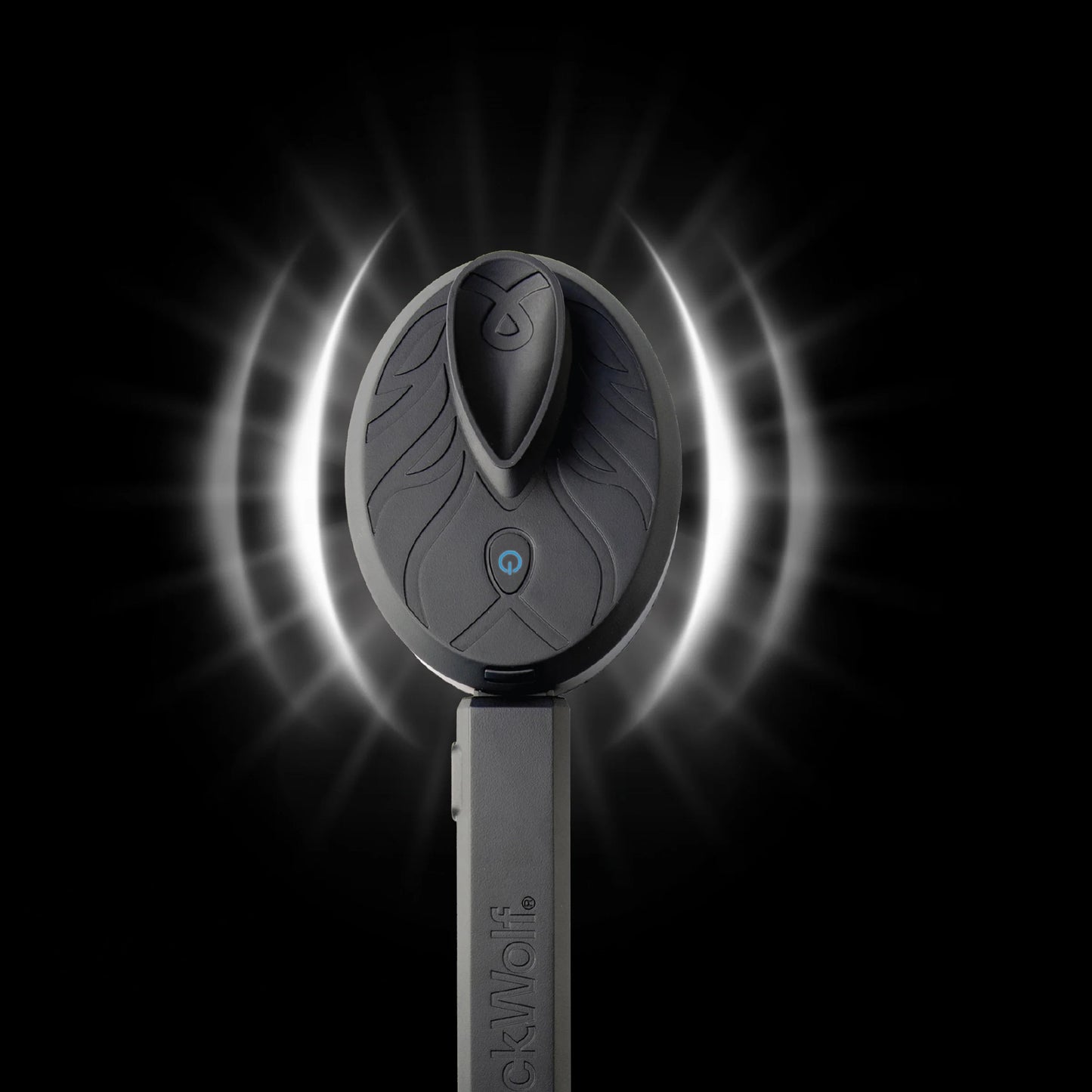 Vibrating Face and Body Brush, Sonic Scrubber